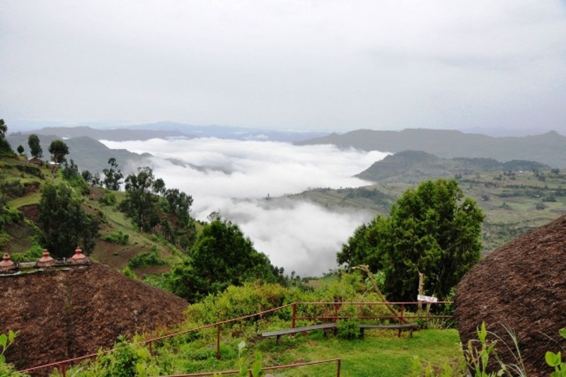 A view of the mountains from above with trees in the foreground.